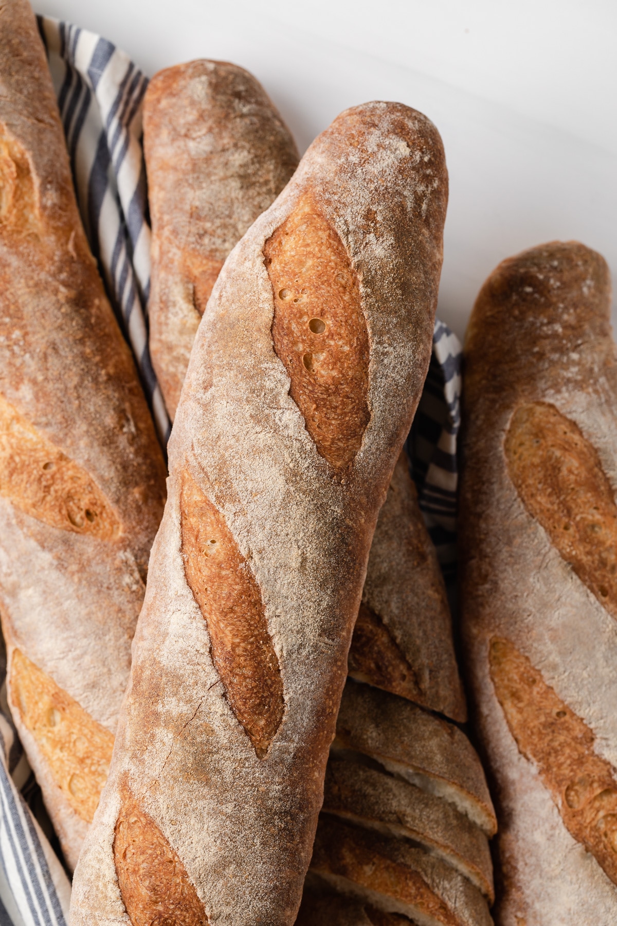 overhead of artisan baguettes
