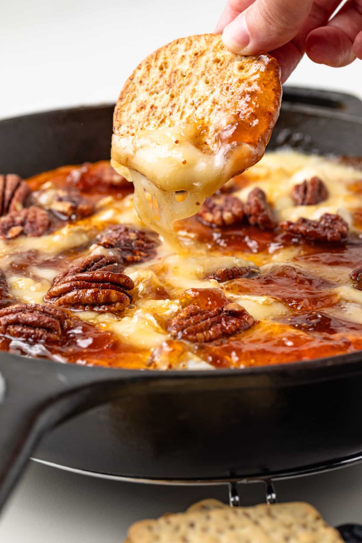 Cracker dipped in baked brie.
