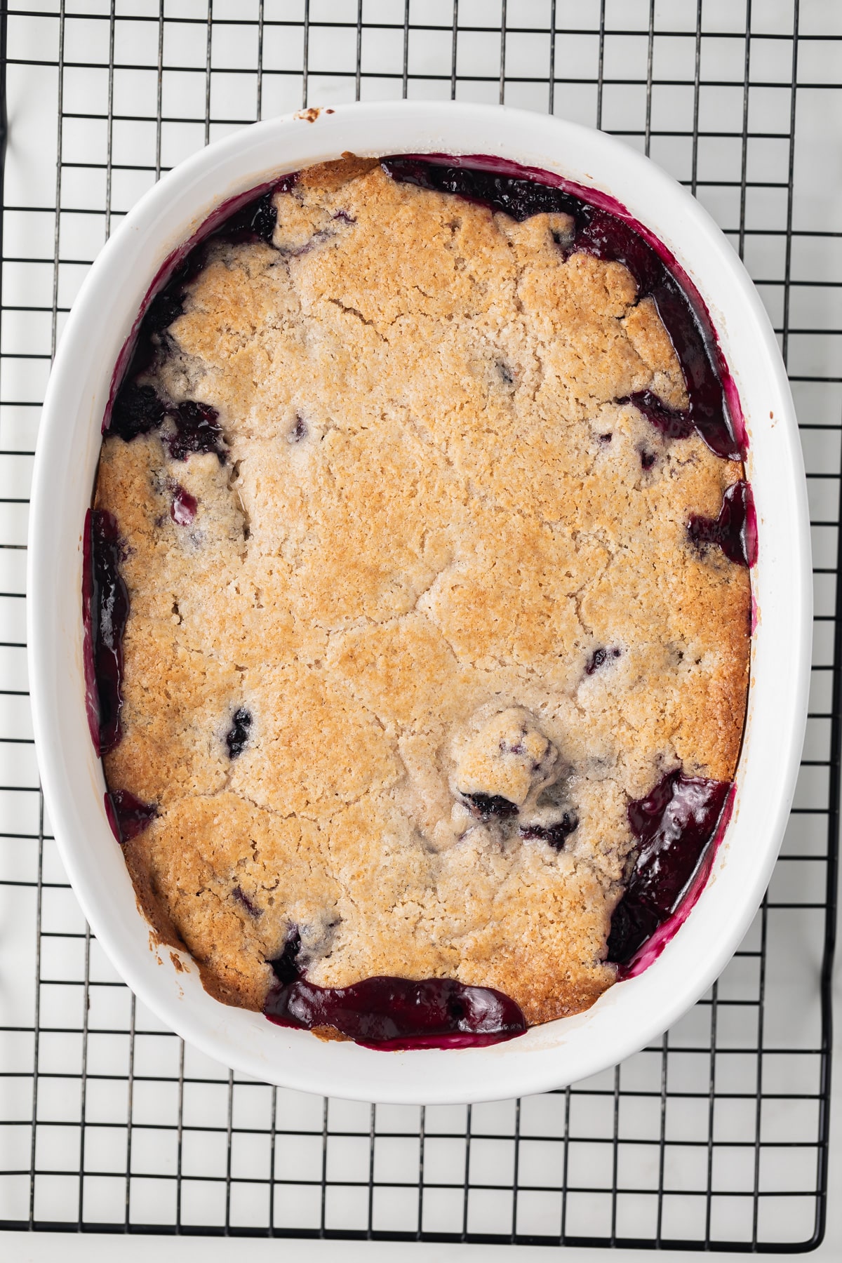 Baked blackberry cobbler in casserole.