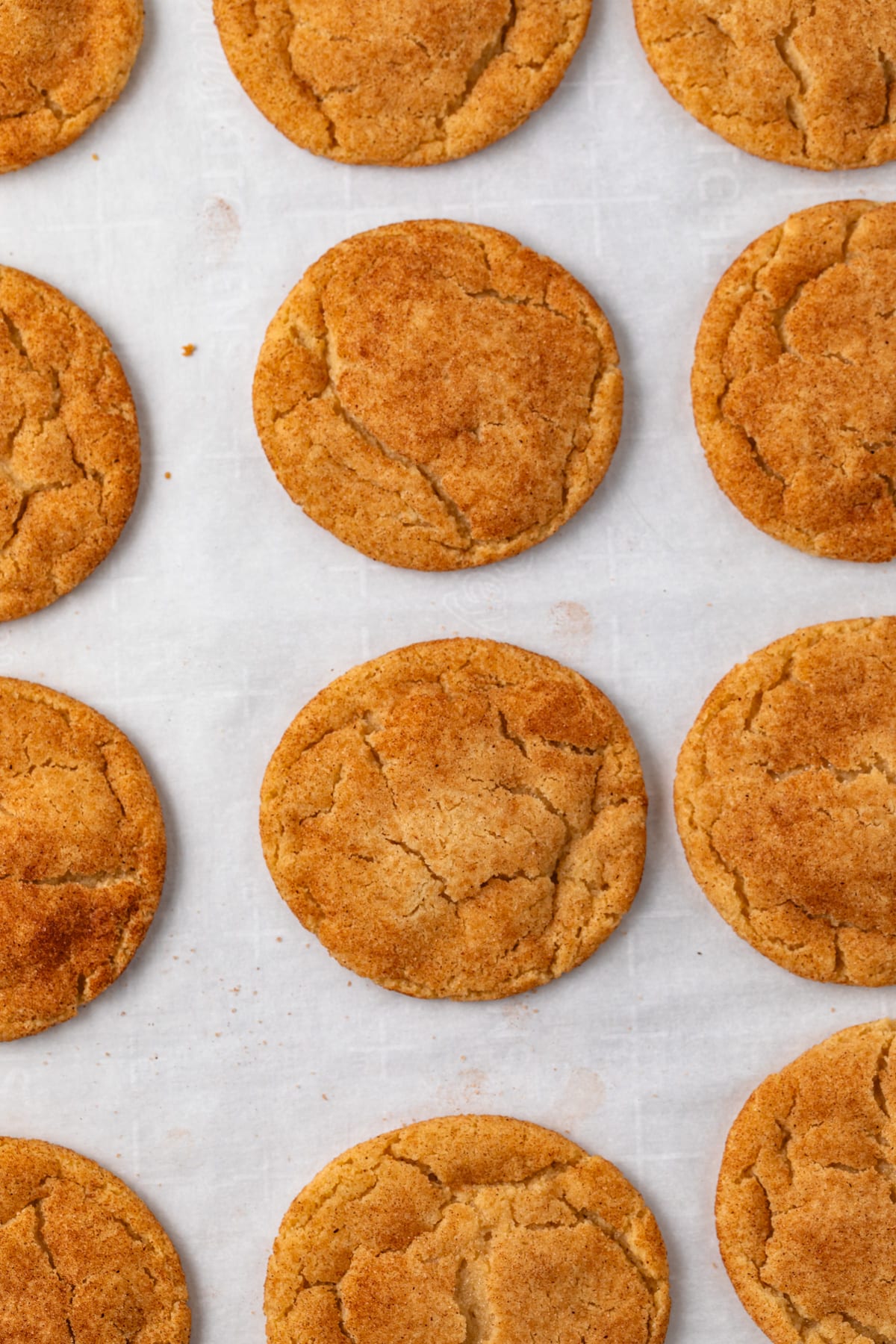 Baked cookies on baking pan.