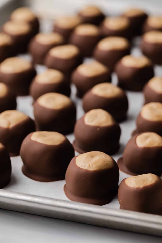 buckeye candy neatly arranged on a baking sheet lined with parchment paper