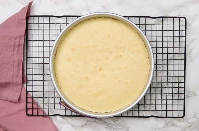 baked vanilla cake in cake pan