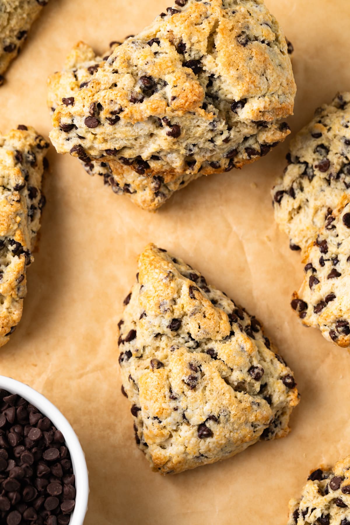 Close up of chocolate chip scones on parchment paper.
