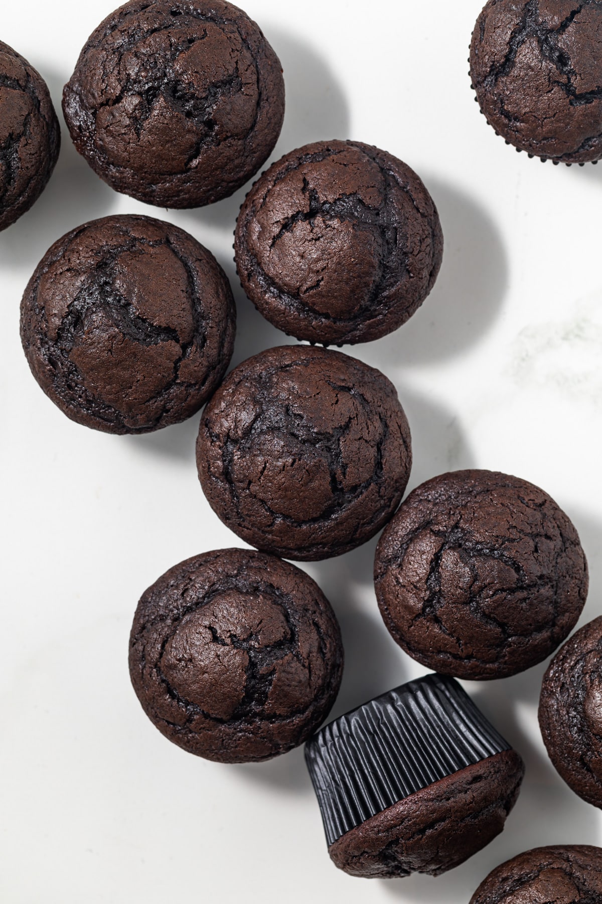 Overhead of chocolate cupcakes.