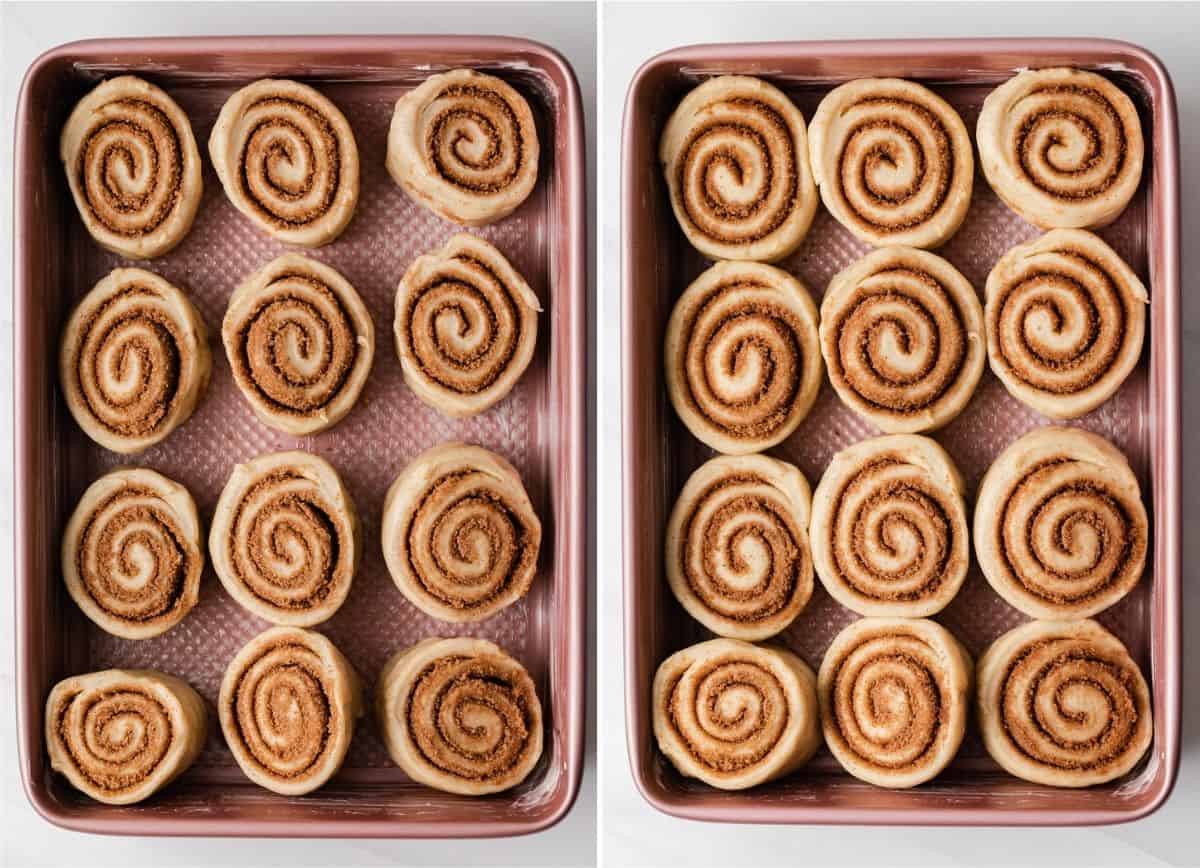cinnamon rolls in pink baking pan unrisen on the left and risen on the right