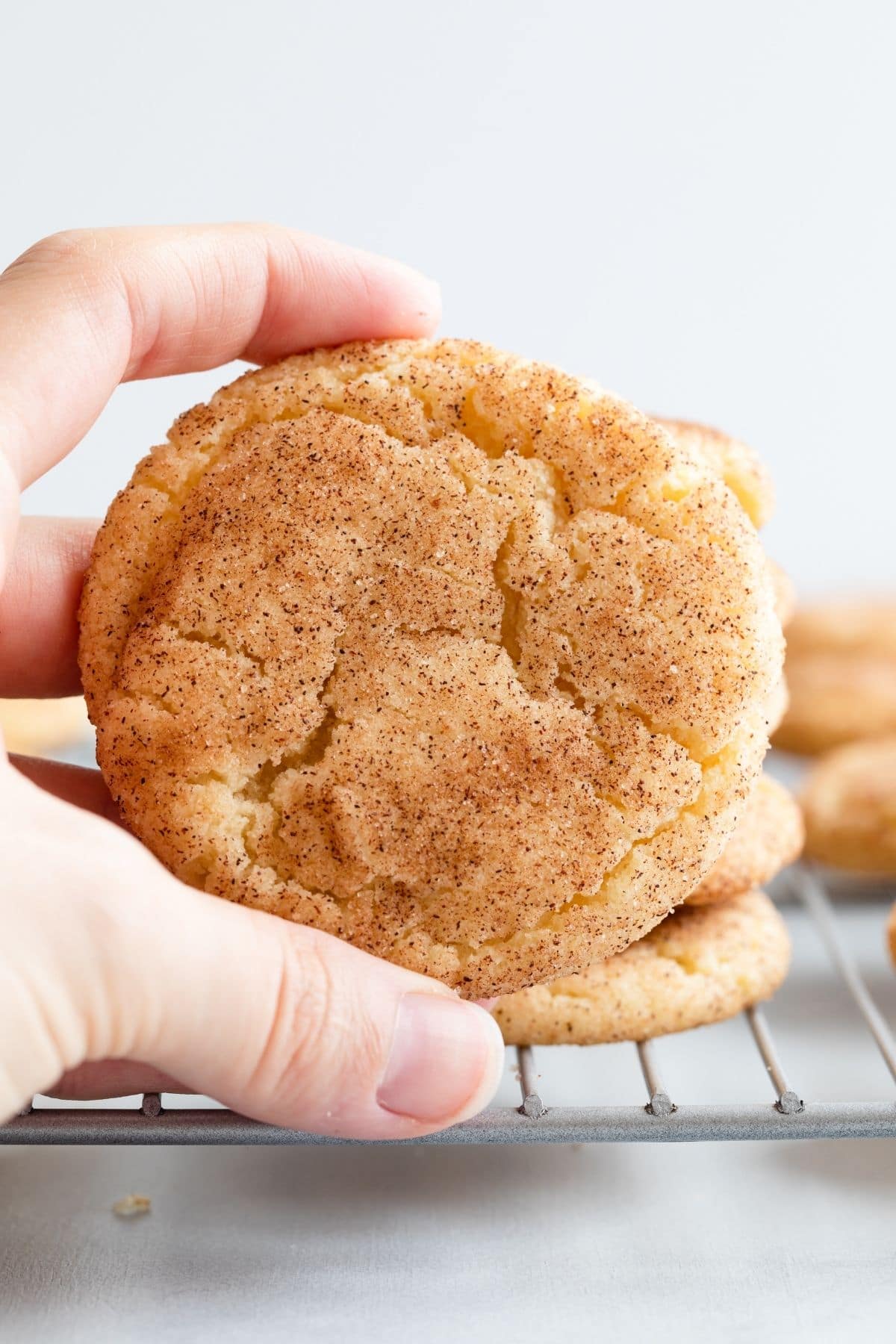 hand holding one snickerdoodle cookie up so top of cookie is visible
