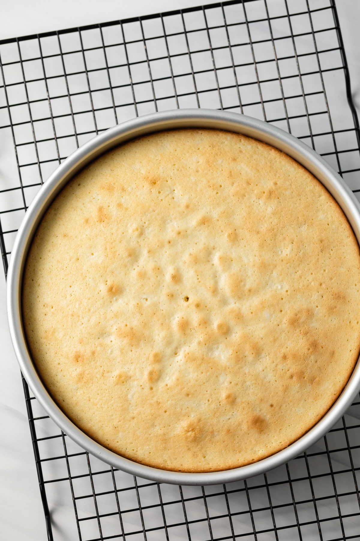 Baked coconut cake in round cake pan.