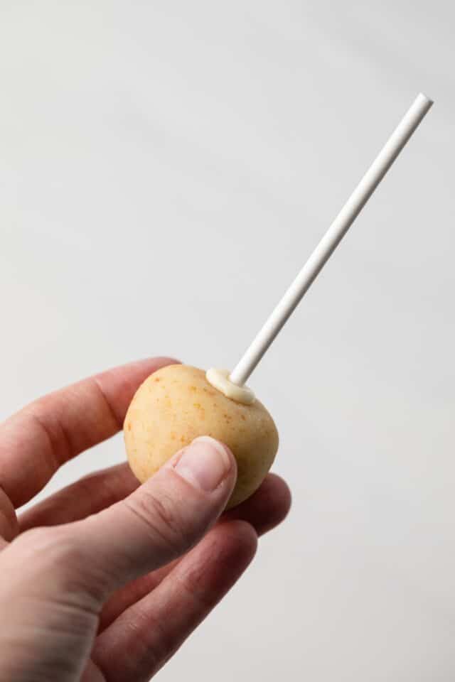 Lollipop stick in cake pop ball.