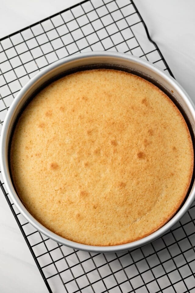 Baked cake layer in pan on wire rack.
