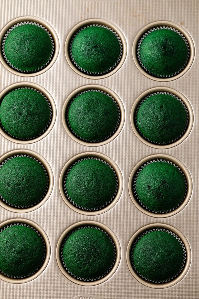 Green velvet cupcakes in muffin pan.