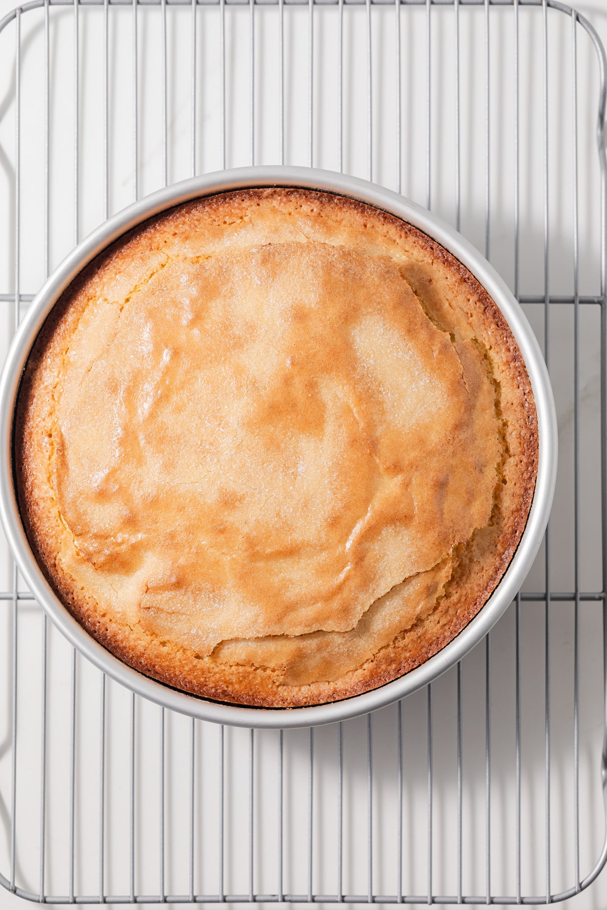 Freshly baked olive oil cake in cake pan.