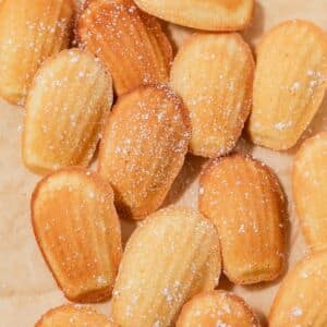Madeleines dusted with powdered sugar.