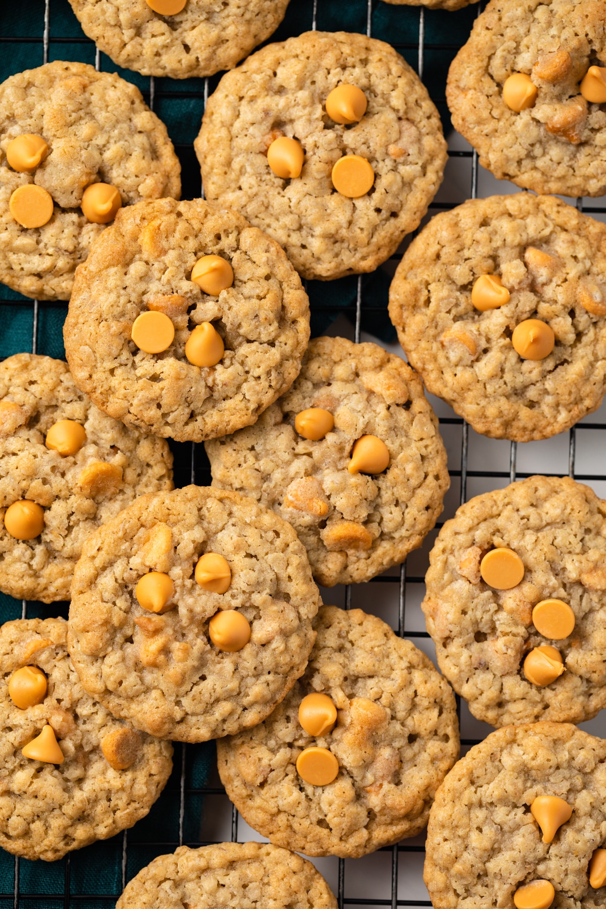 Close up of oatmeal scotchies on wire rack.