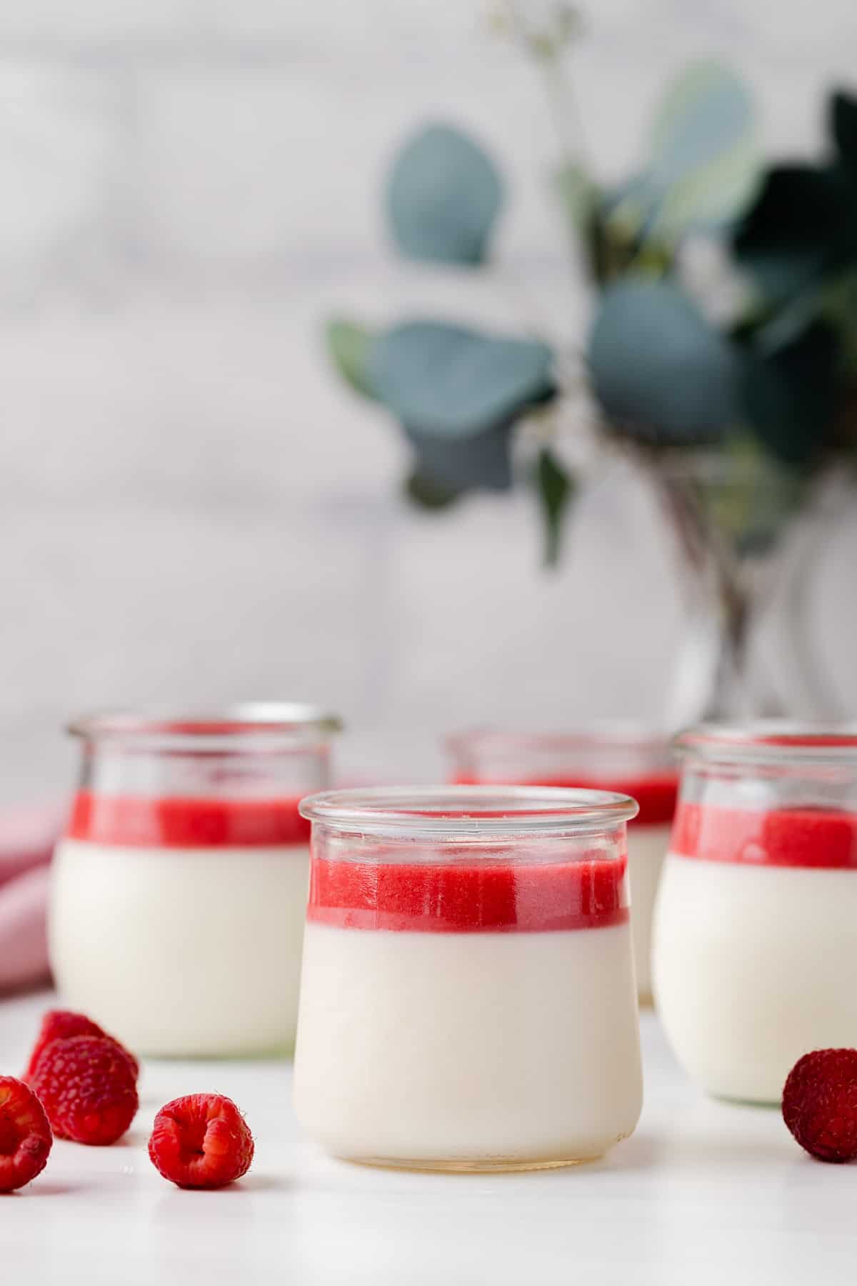 front view of four jars of panna cotta topped with raspberry sauce, fresh raspberries scattered on tabletop and eucalyptus in a vase in the back ground