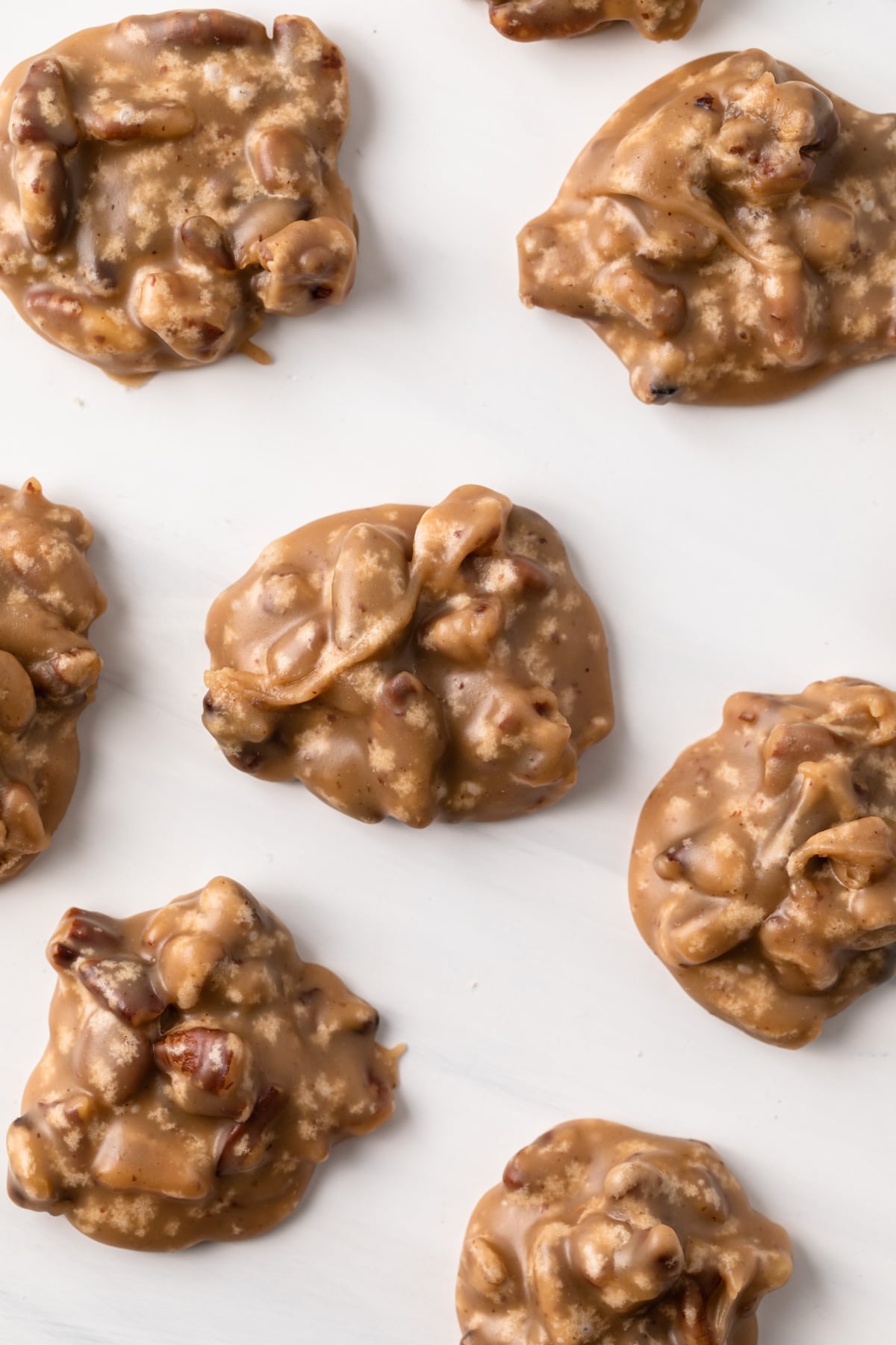 overhead of praline pecans neatly arranged on white background