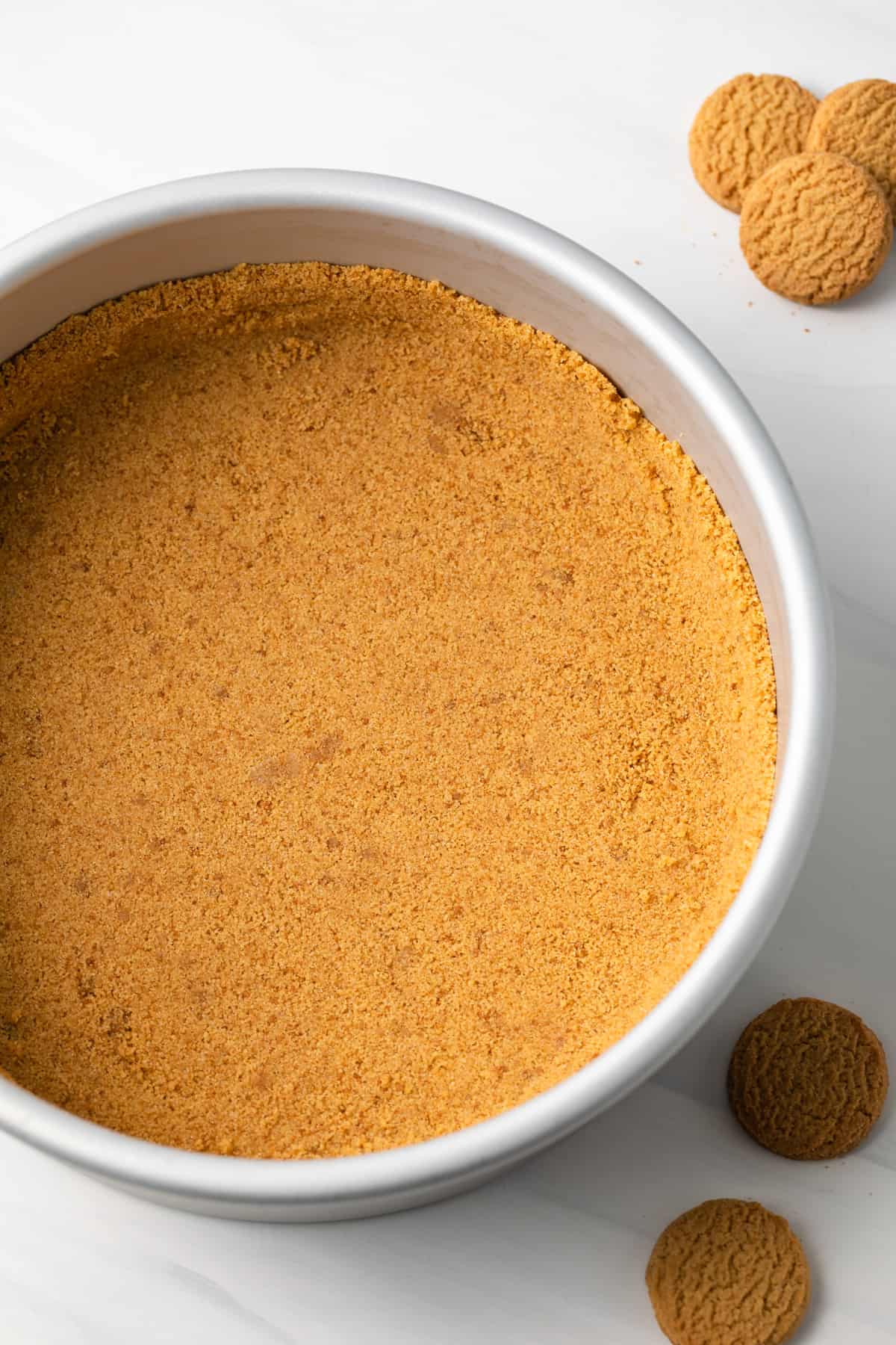 Gingersnap crust in a springform pan