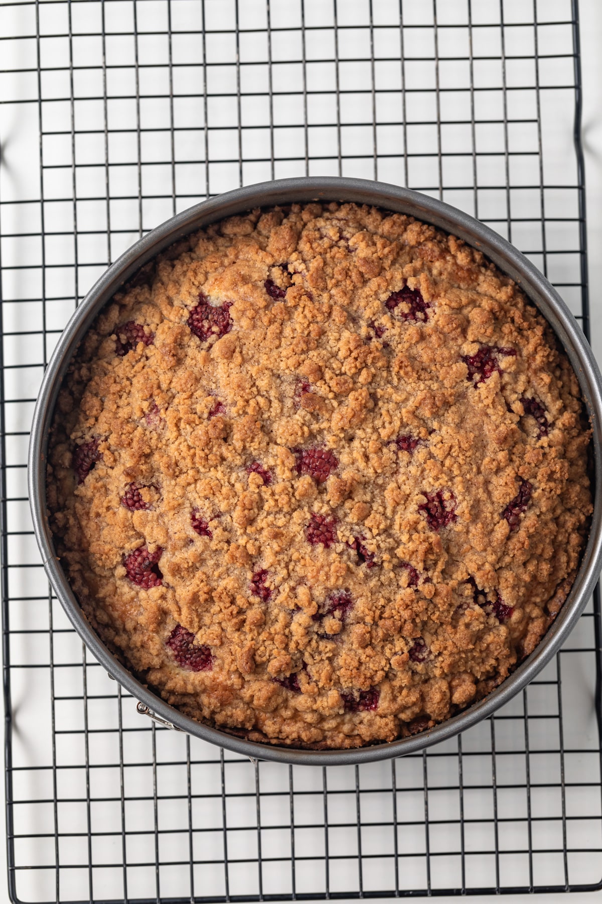 Overhead of baked coffee cake in pan.