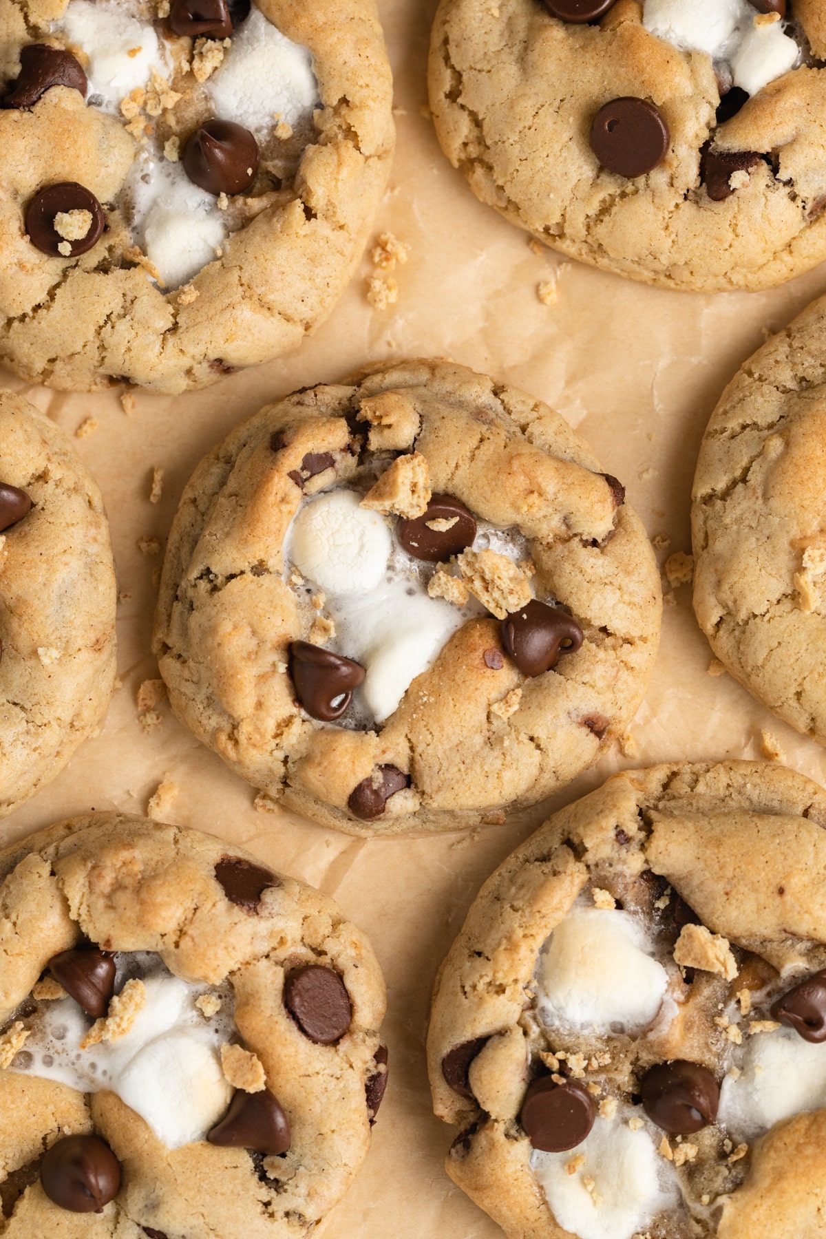 Close up of s'mores cookies.