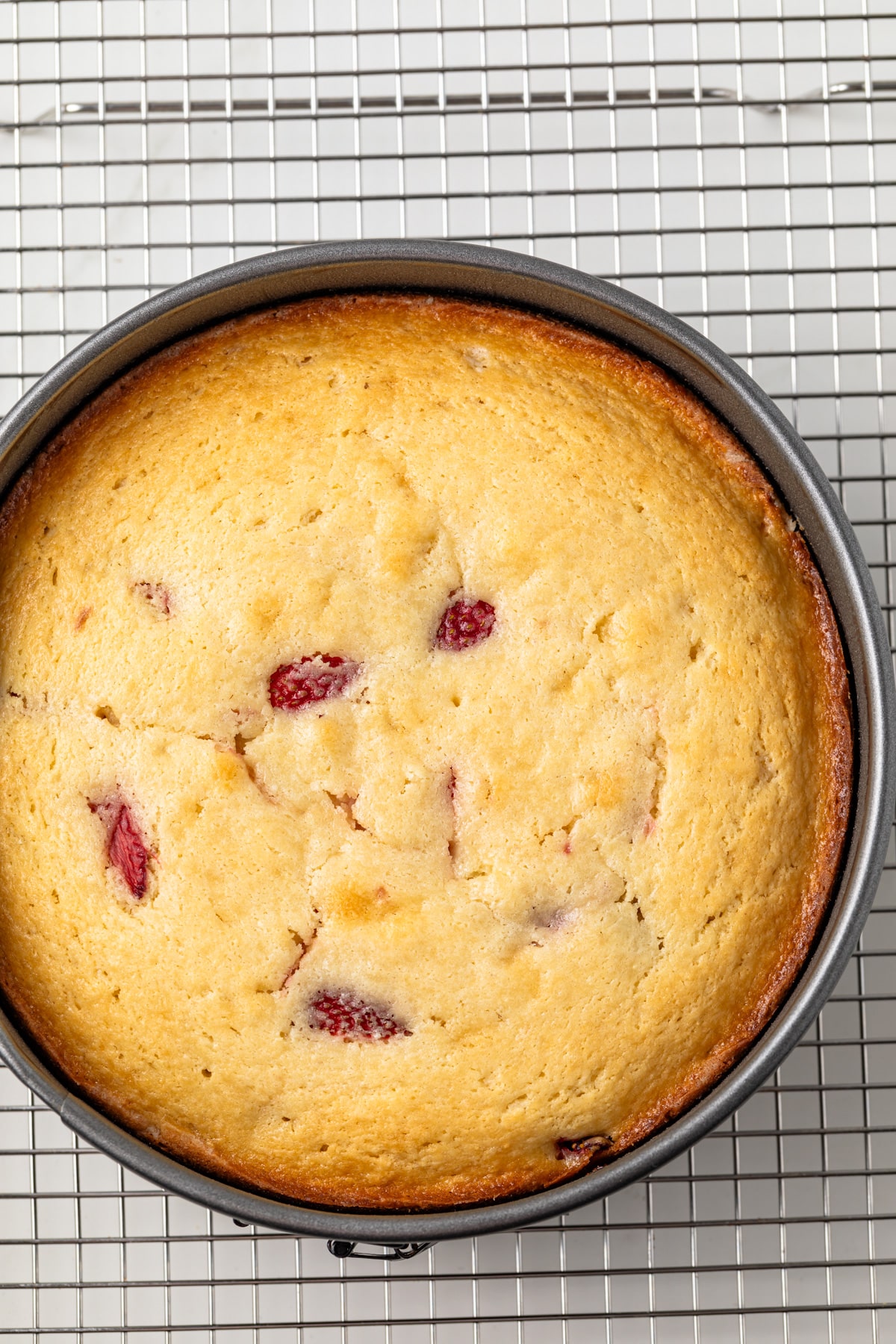 Strawberry ricotta cake in pan.