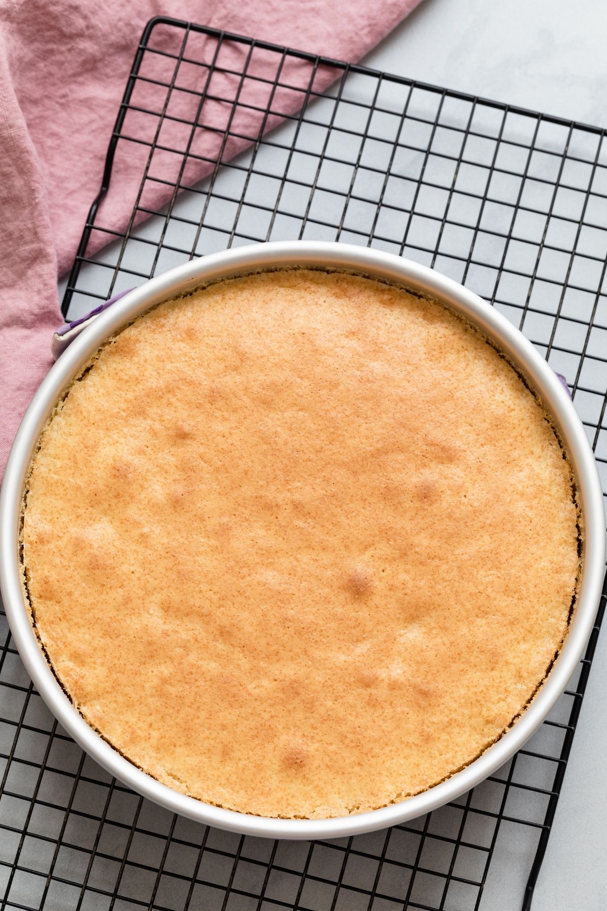 Baked cake in pan.