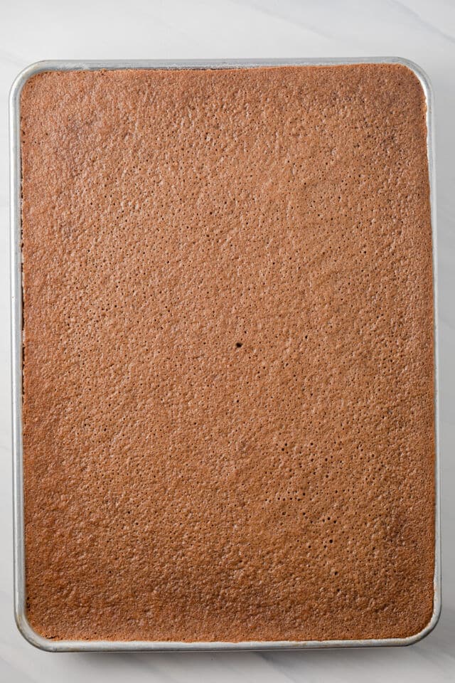 Texas sheet cake in pan.