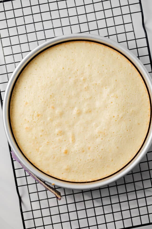 Baked yellow cake in cake pan.